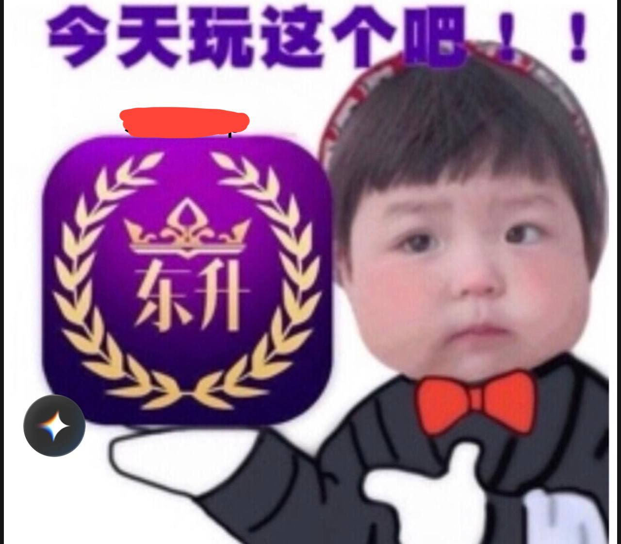 东升国际